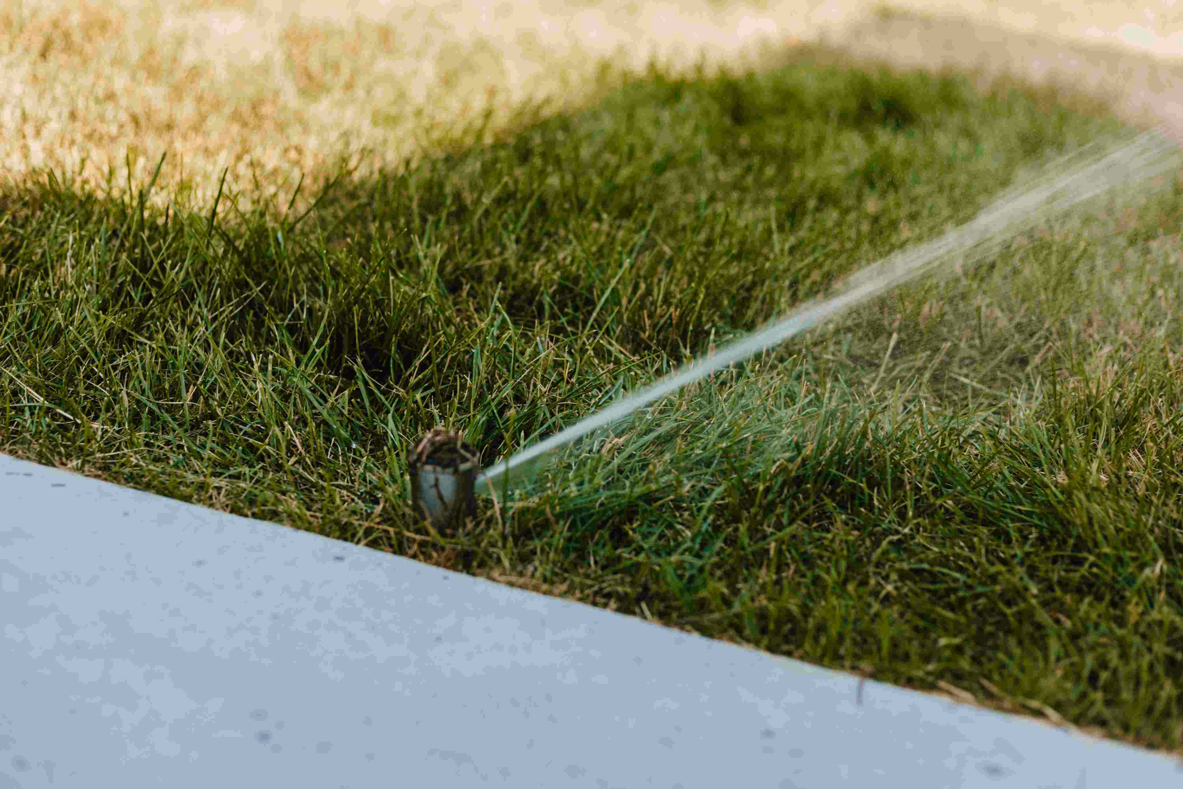 Rotor sprinkler spraying on a Utah lawn - sprinkler scheduling and watering guide